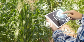 O Impacto da Tecnologia na Sociedade Atual: Avanços e Desafios